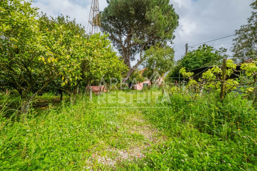 Moradia T5 para Venda em Cacém e São Marcos Foto 116