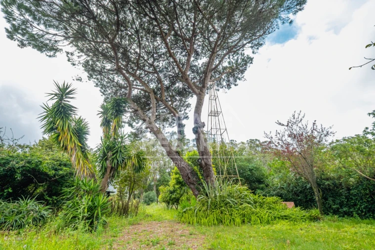 Moradia T5 para Venda em Cacém e São Marcos Foto 107