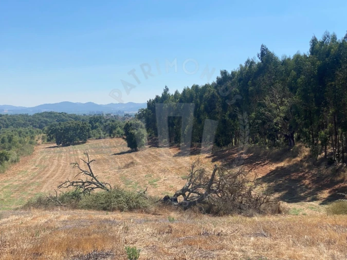 Terreno Agricola ou Rústico para Venda em Cercal