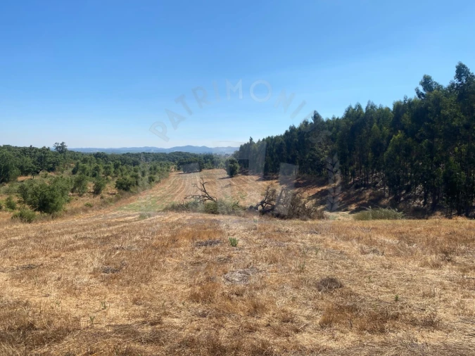 Terreno Agricola ou Rústico para Venda em Cercal Foto 3