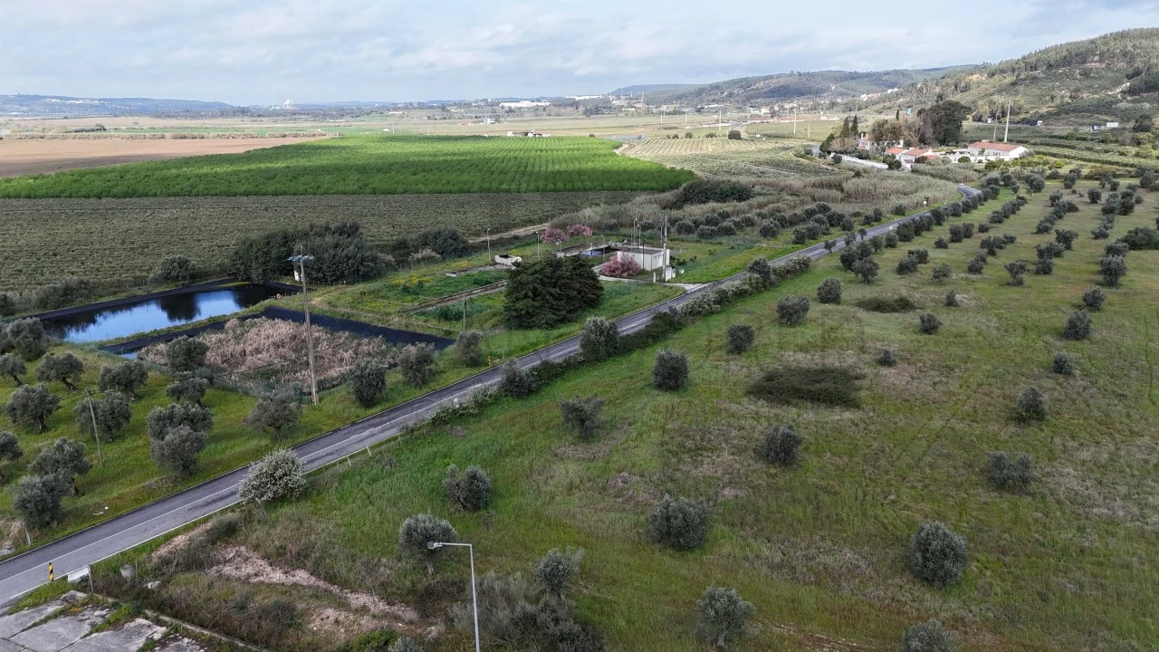 Armazém para Arrendamento em Rio de Moinhos Foto 23