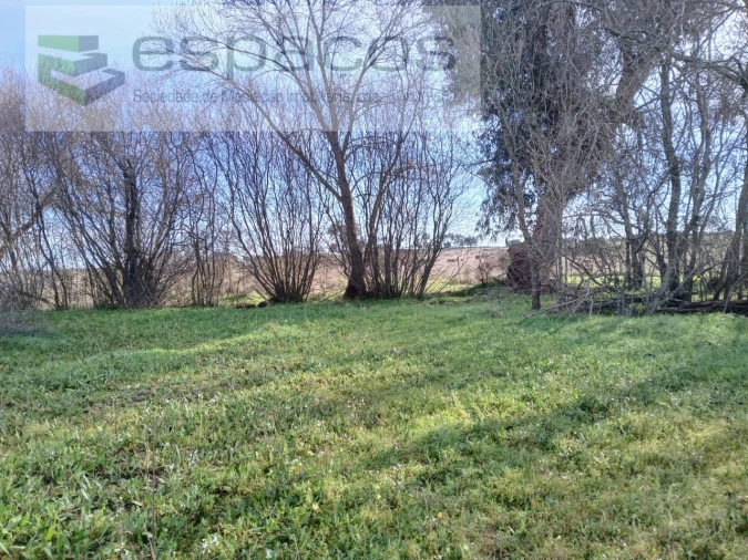 Terreno Agricola ou Rústico para Venda em Póvoa de Atalaia e Atalaia do Campo Foto 2