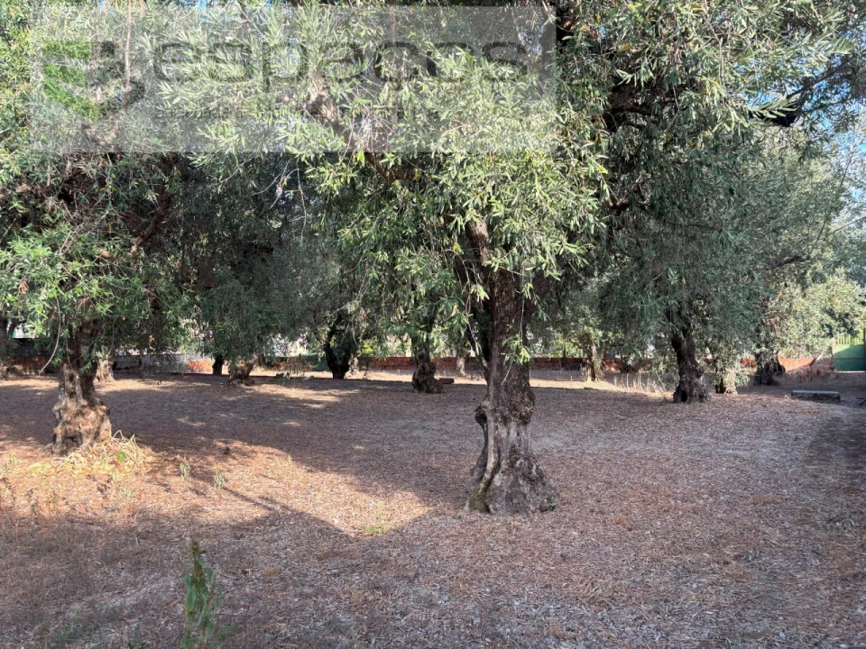 Terreno para Venda em Póvoa de Atalaia e Atalaia do Campo Foto 7