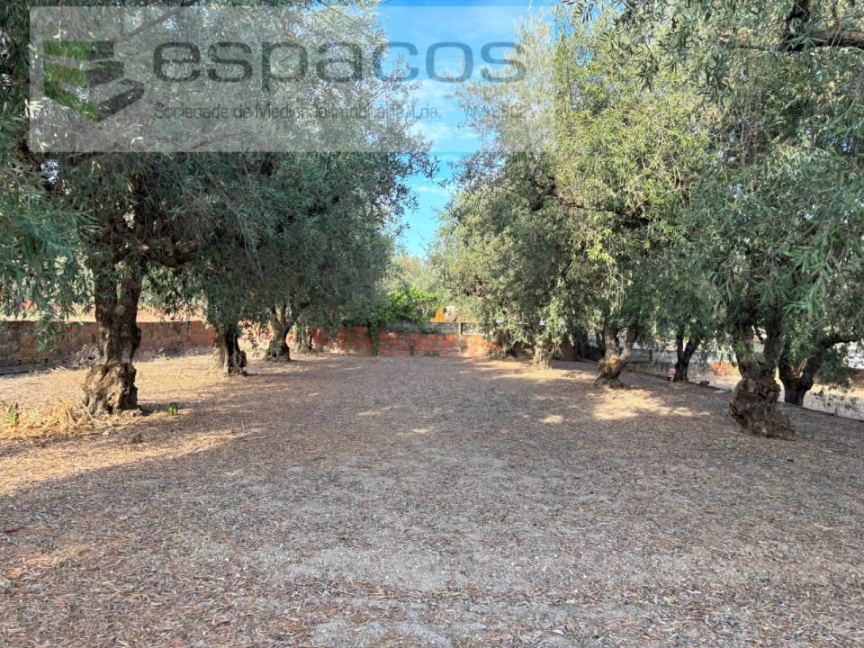 Terreno para Venda em Póvoa de Atalaia e Atalaia do Campo Foto 8