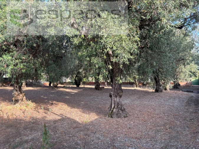 Terreno para Venda em Póvoa de Atalaia e Atalaia do Campo Foto 7