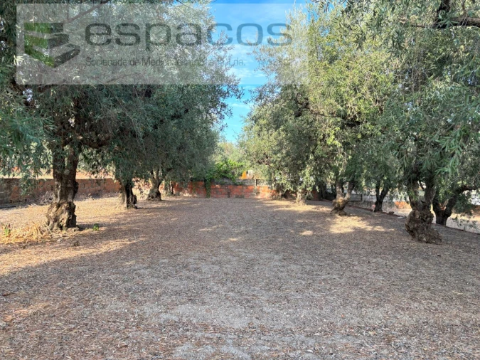 Terreno para Venda em Póvoa de Atalaia e Atalaia do Campo Foto 8