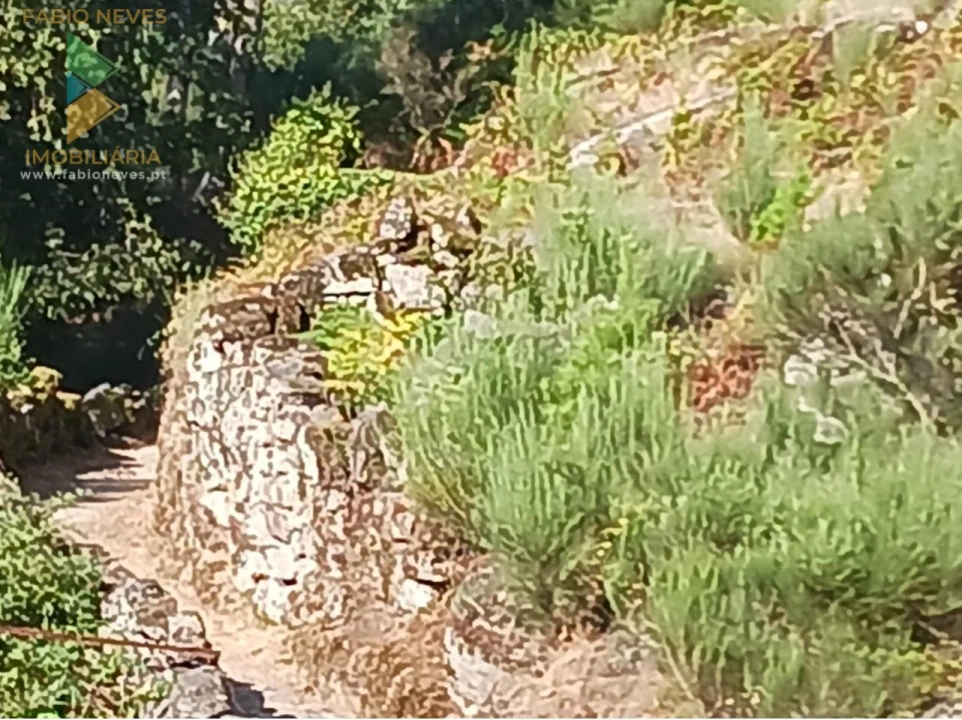 Terreno para Venda em Soajo Foto 3