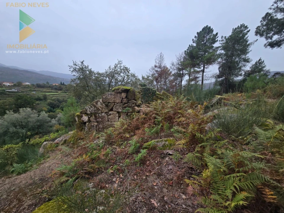 Terreno para Venda em Soajo Foto 7
