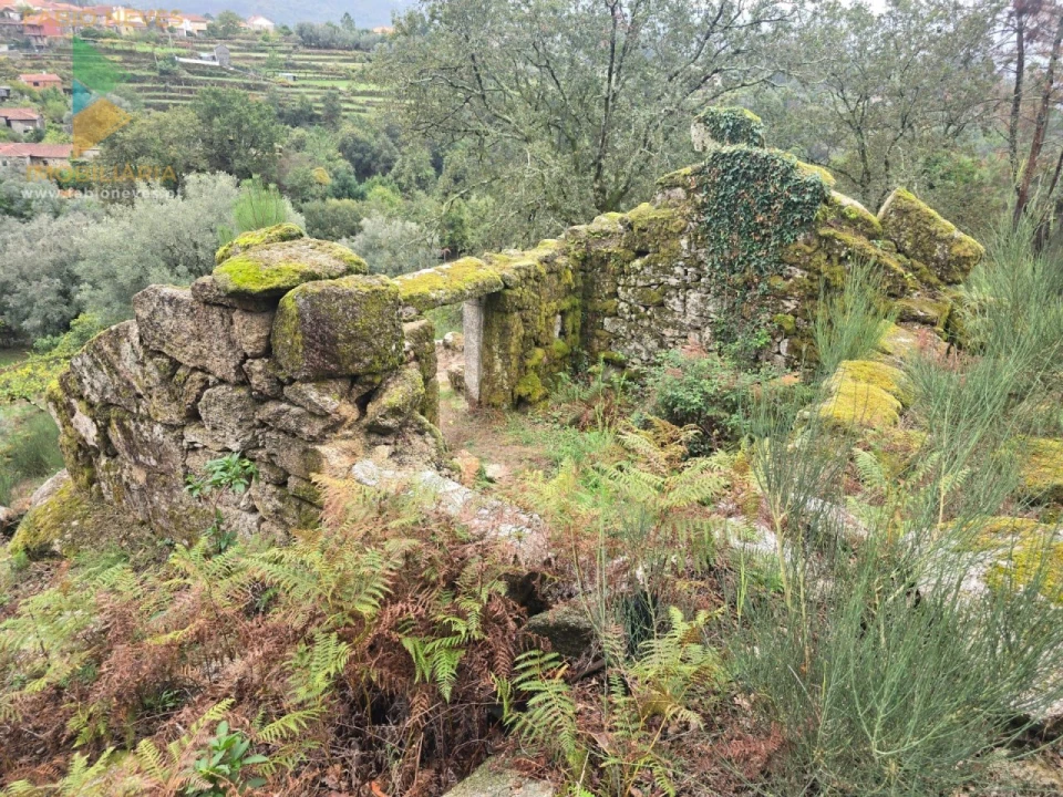 Terreno para Venda em Soajo Foto 9