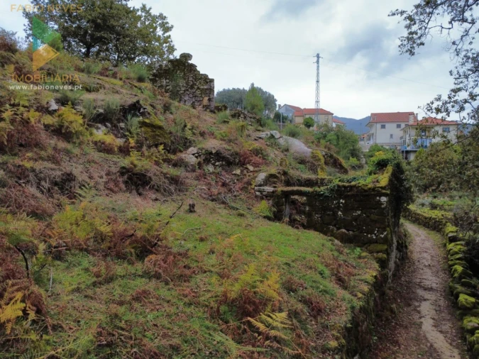 Terreno para Venda em Soajo Foto 1