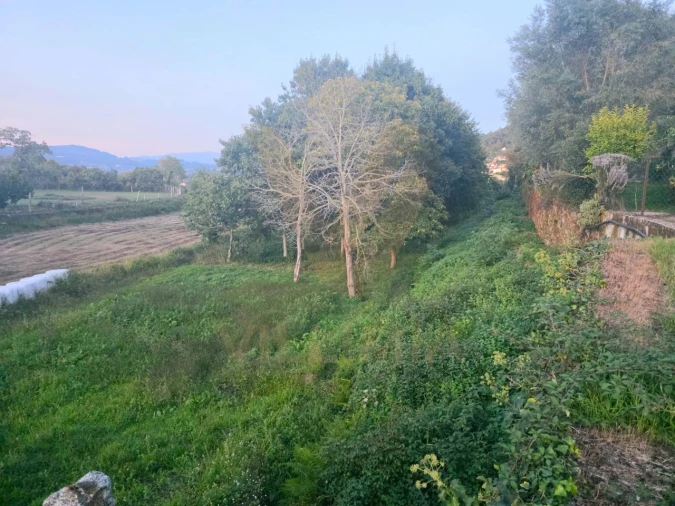 Terreno Agricola ou Rústico para Venda em Gandra