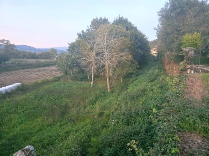 Terreno Agricola ou Rústico para Venda em Gandra Foto 3