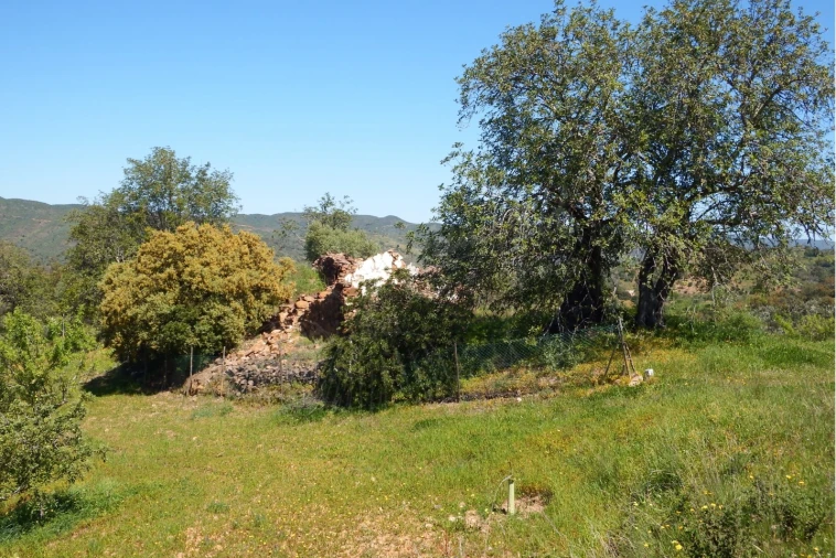 Terreno para Venda em Santa Catarina da Fonte do Bispo Foto 1