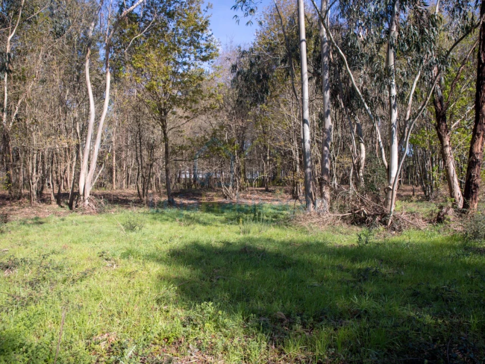 Terreno para Venda em Merelim (São Paio), Panoias e Parada de Tibães Foto 30