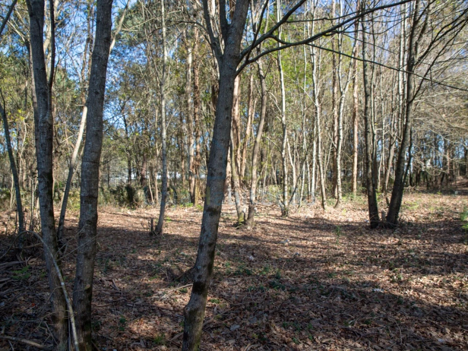 Terreno para Venda em Merelim (São Paio), Panoias e Parada de Tibães Foto 39
