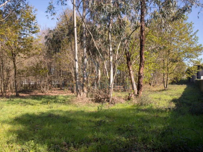 Terreno para Venda em Merelim (São Paio), Panoias e Parada de Tibães Foto 32