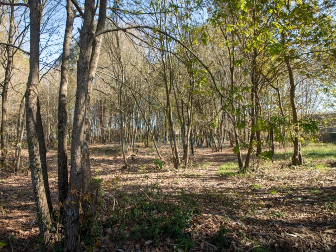 Terreno para Venda em Merelim (São Paio), Panoias e Parada de Tibães Foto 33