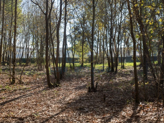 Terreno para Venda em Merelim (São Paio), Panoias e Parada de Tibães Foto 34