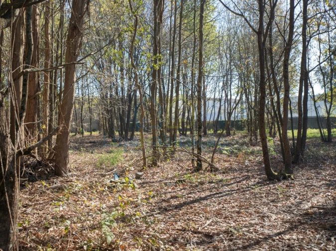 Terreno para Venda em Merelim (São Paio), Panoias e Parada de Tibães Foto 35