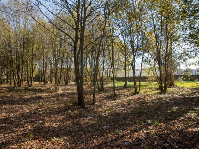 Terreno para Venda em Merelim (São Paio), Panoias e Parada de Tibães Foto 40