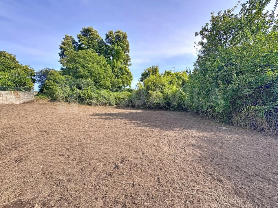 Terreno para Venda em Seixas Foto 5