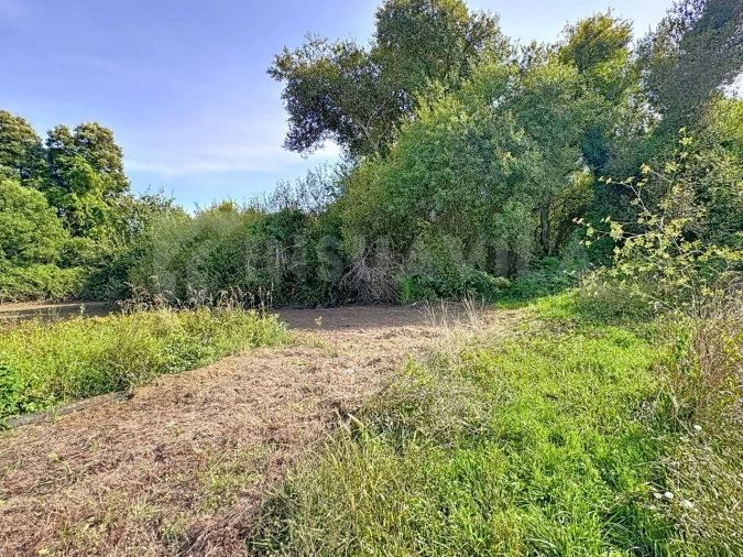 Terreno para Venda em Seixas Foto 9