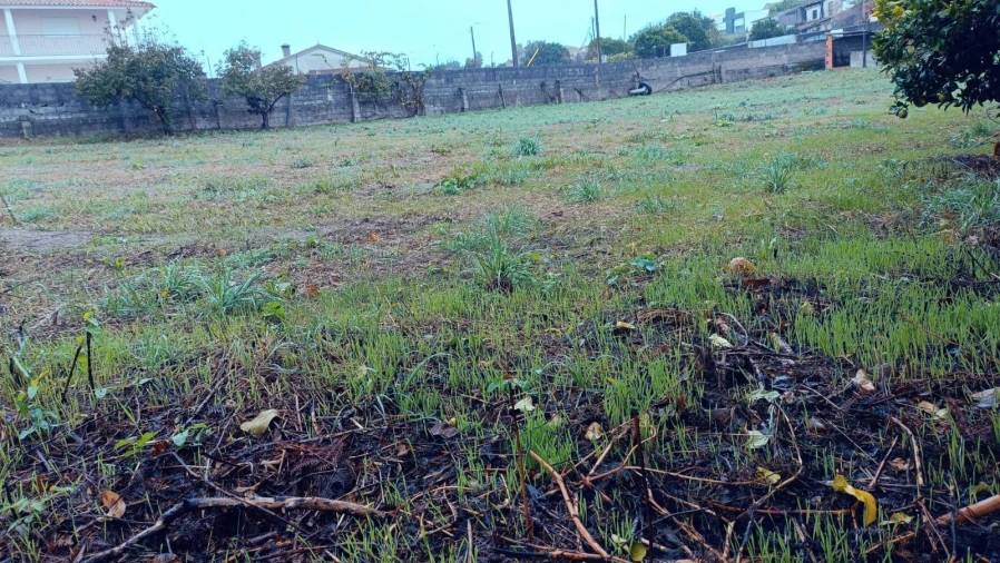 Terreno Agricola ou Rústico para Venda em Canelas e Fermelã Foto 6