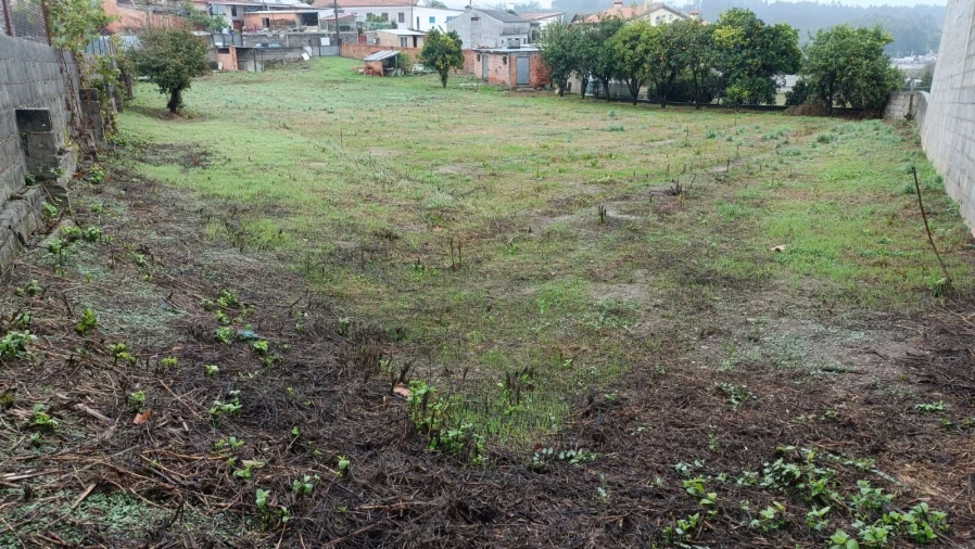 Terreno Agricola ou Rústico para Venda em Canelas e Fermelã Foto 4