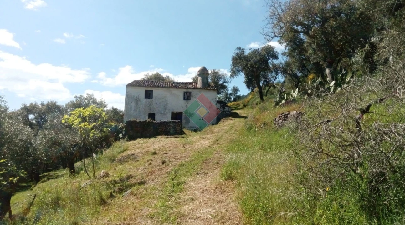 Quinta T2 para Venda em São Salvador da Aramenha Foto 1