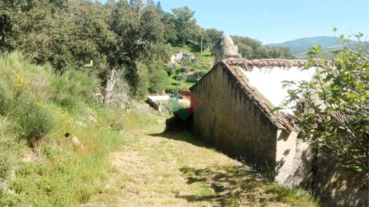 Quinta T2 para Venda em São Salvador da Aramenha Foto 3