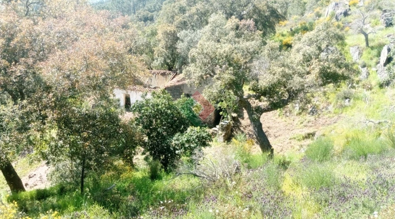 Quinta T2 para Venda em São Salvador da Aramenha Foto 5