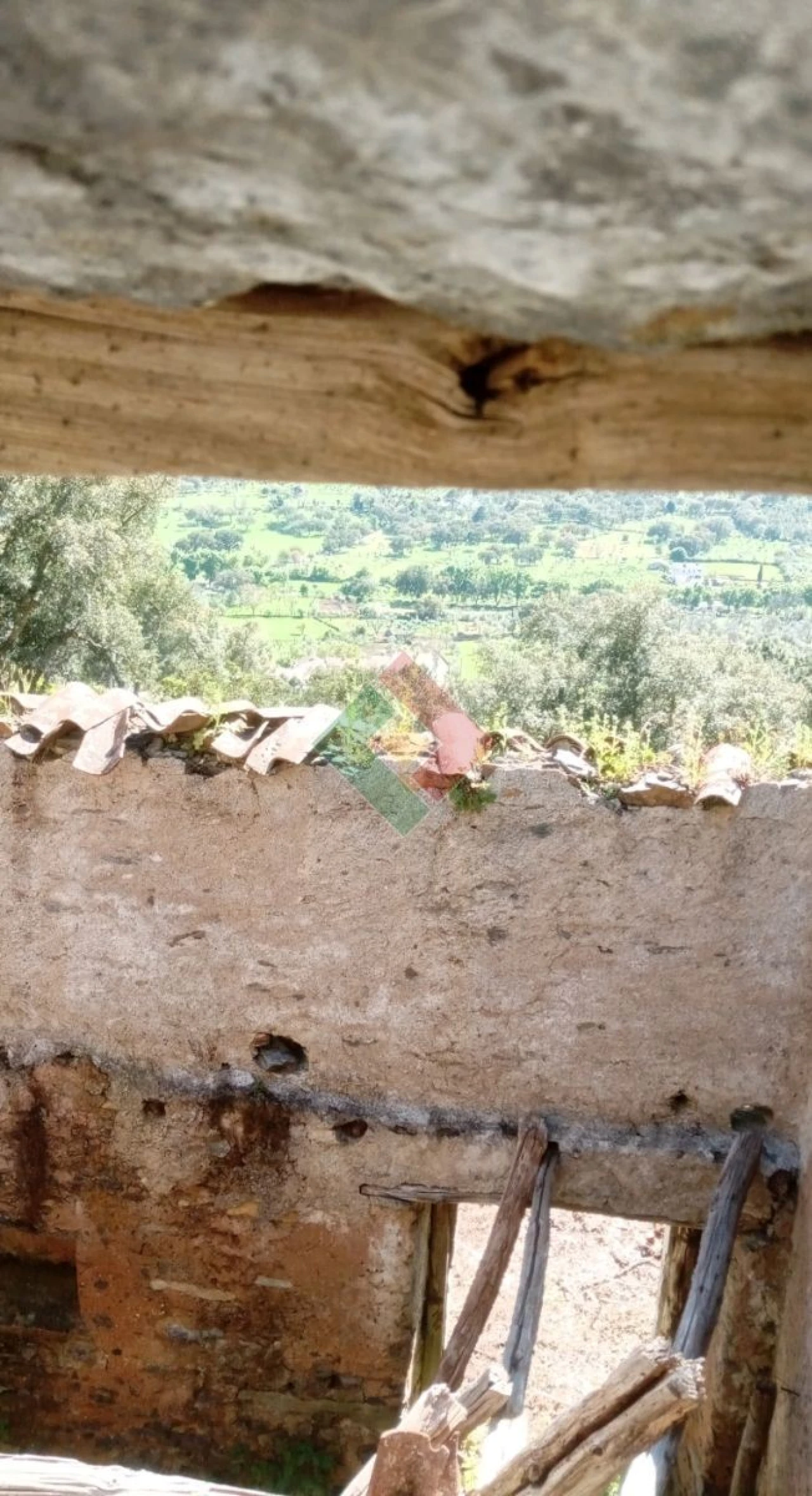 Quinta T2 para Venda em São Salvador da Aramenha Foto 9