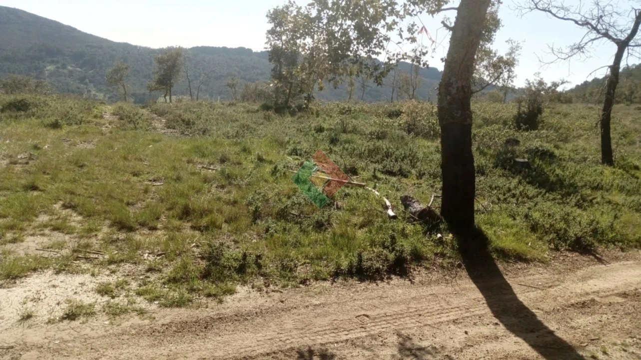 Quinta T2 para Venda em São Salvador da Aramenha Foto 21
