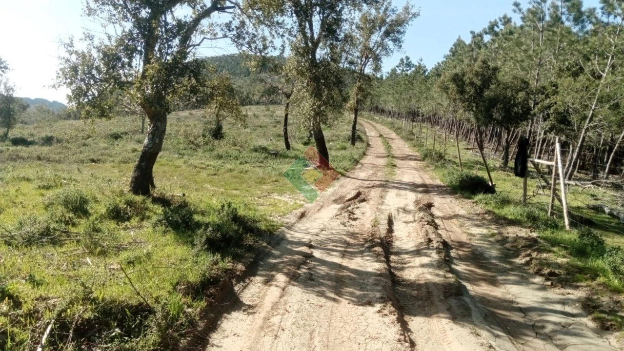 Quinta T2 para Venda em São Salvador da Aramenha Foto 24
