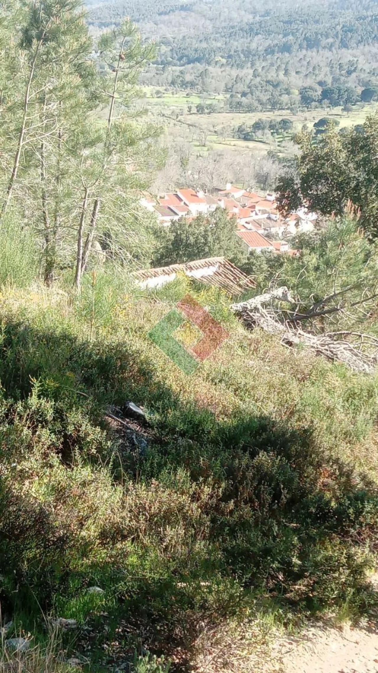 Quinta T2 para Venda em São Salvador da Aramenha Foto 29