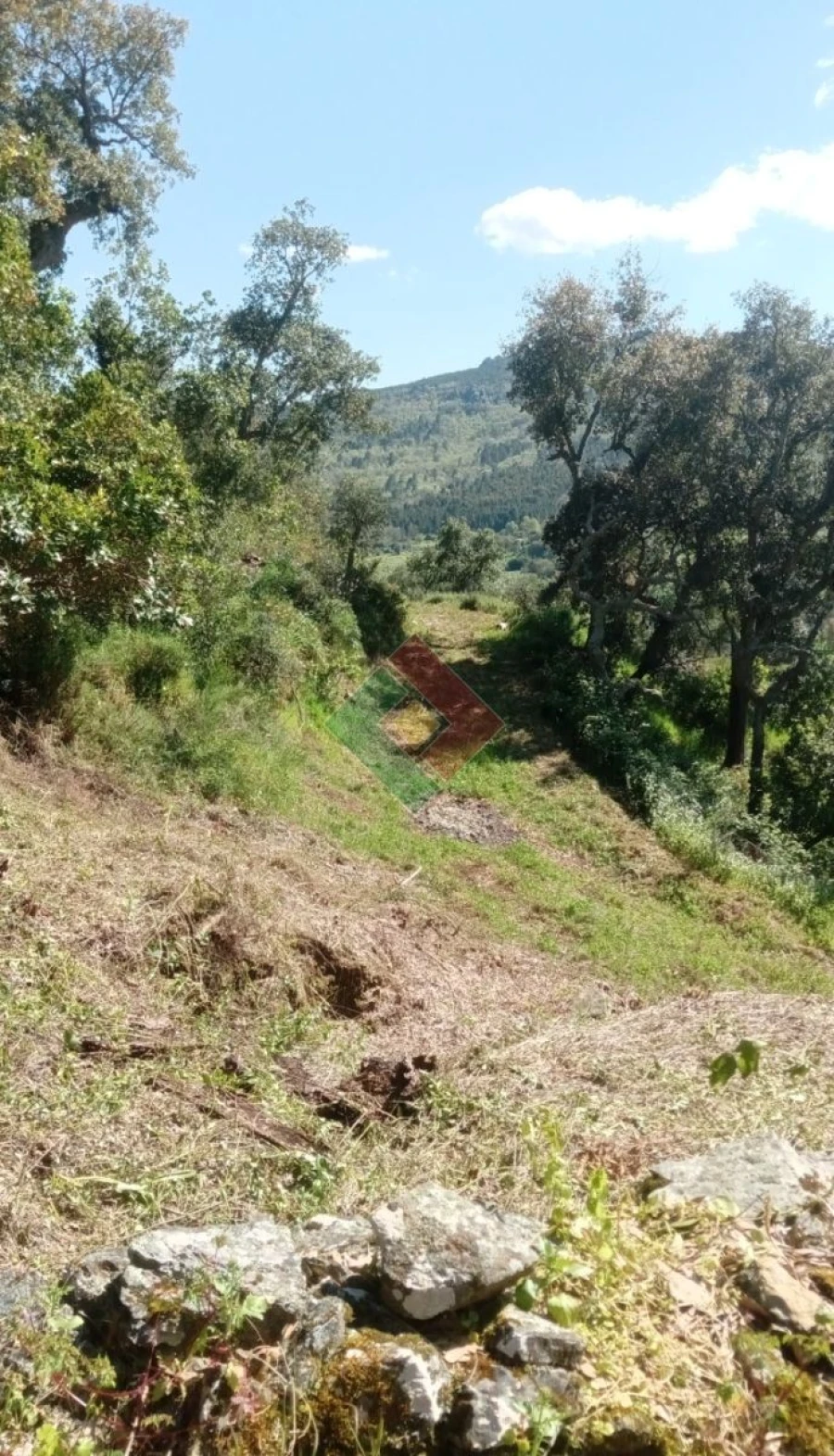 Quinta T2 para Venda em São Salvador da Aramenha Foto 4