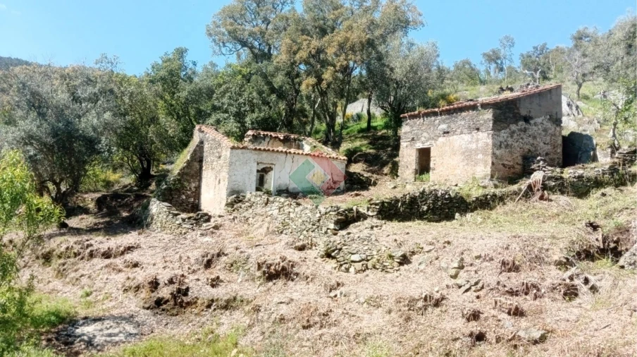 Quinta T2 para Venda em São Salvador da Aramenha Foto 6