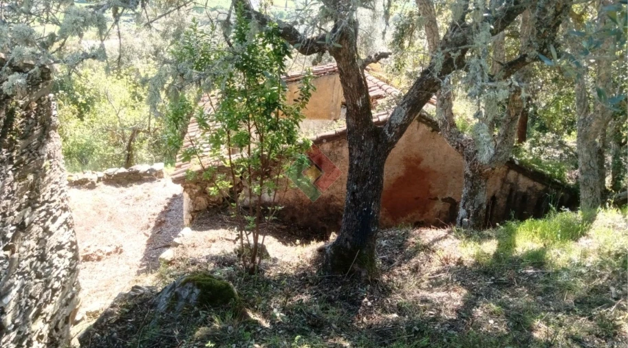 Quinta T2 para Venda em São Salvador da Aramenha Foto 11