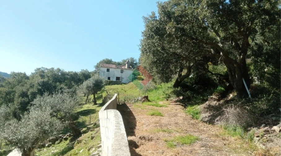 Quinta T2 para Venda em São Salvador da Aramenha Foto 13