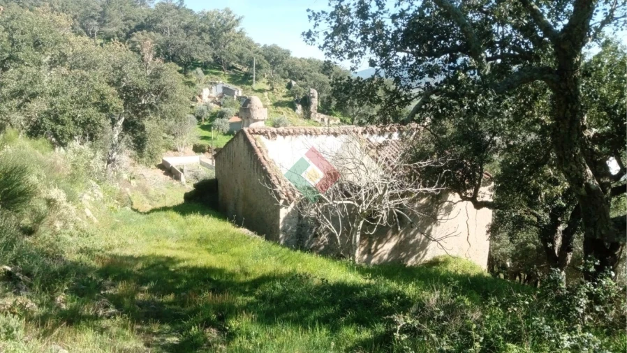 Quinta T2 para Venda em São Salvador da Aramenha Foto 20