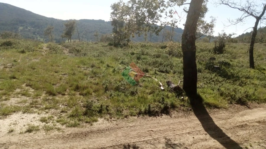 Quinta T2 para Venda em São Salvador da Aramenha Foto 21