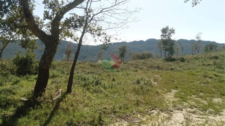 Quinta T2 para Venda em São Salvador da Aramenha Foto 23