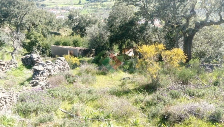 Quinta T2 para Venda em São Salvador da Aramenha Foto 25