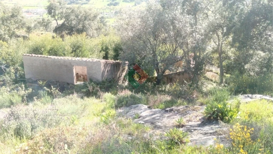 Quinta T2 para Venda em São Salvador da Aramenha Foto 26