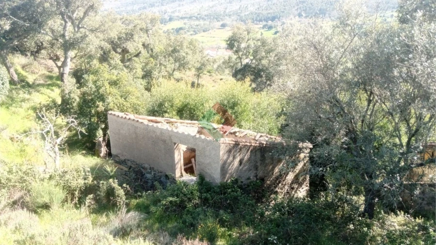 Quinta T2 para Venda em São Salvador da Aramenha Foto 27