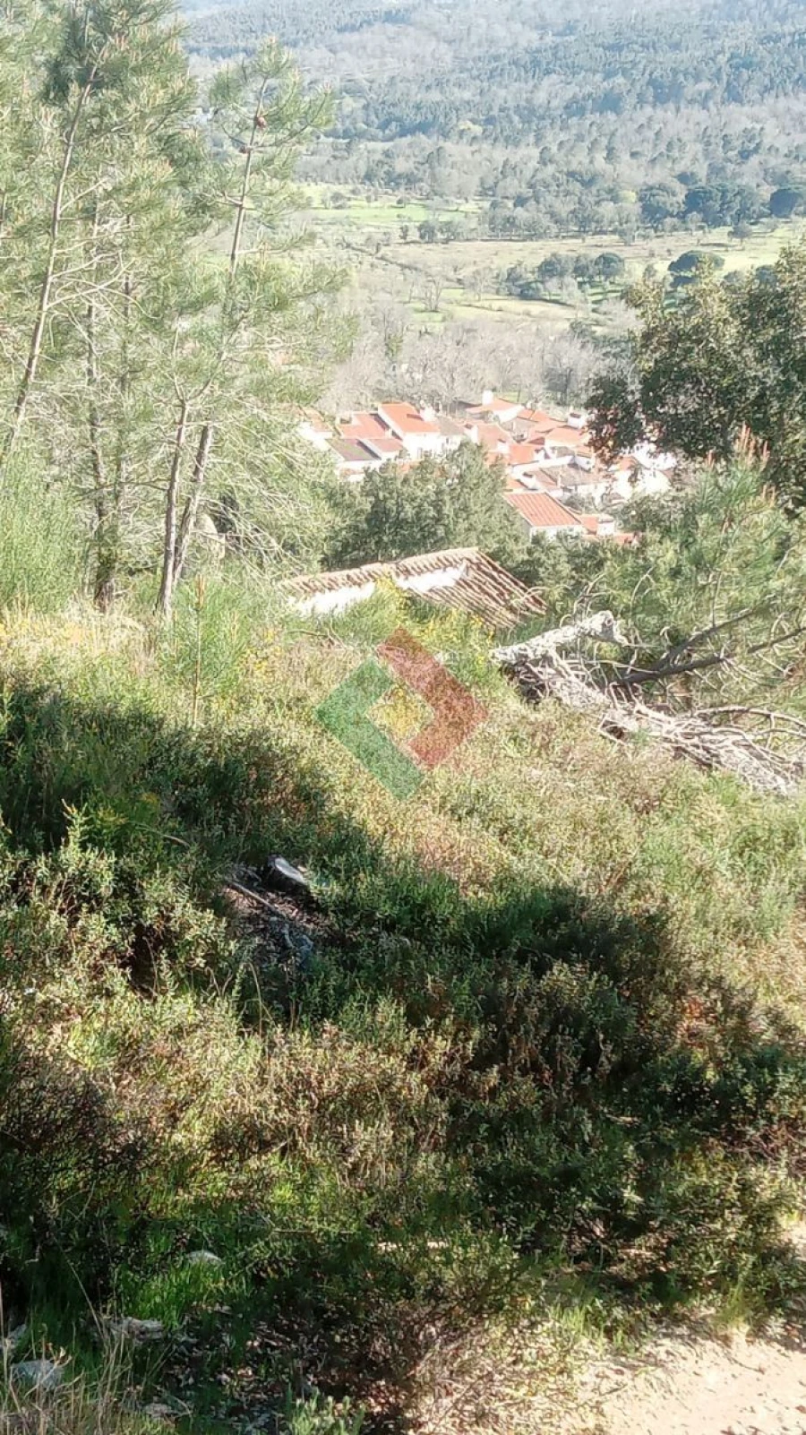 Quinta T2 para Venda em São Salvador da Aramenha Foto 29