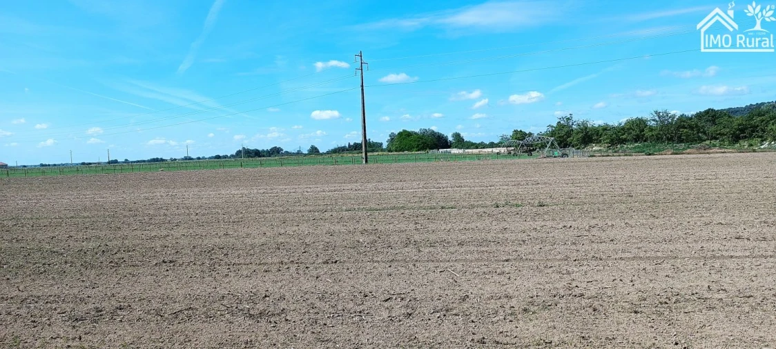 Moradia T2 para Venda em Almeirim Foto 29