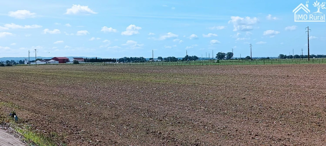 Moradia T2 para Venda em Almeirim Foto 28