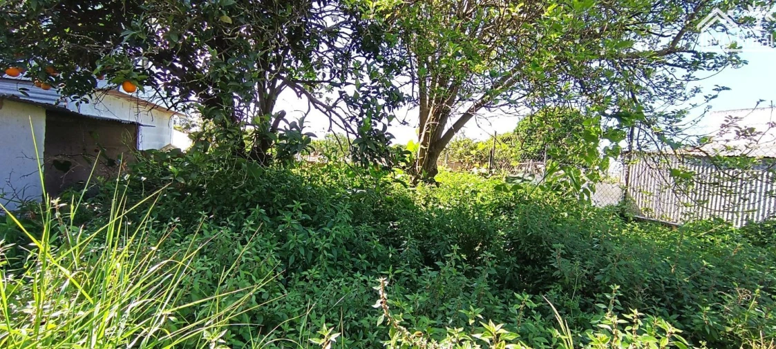 Moradia T2 para Venda em Almeirim Foto 9