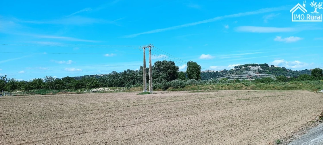 Moradia T2 para Venda em Almeirim Foto 30